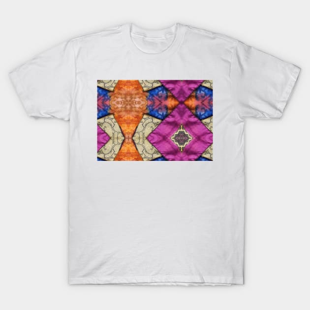 Sari Scarf Indian T-Shirt by IAKUKI